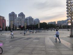 -金州站