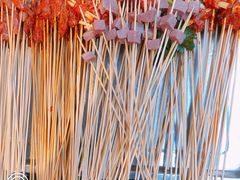 -镇江龙·火锅串串(武侯祠店)