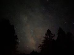 -武陵山森林公园