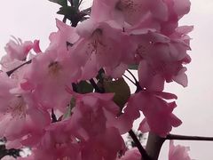 -尚贤河湿地