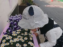 -松月洞童话村