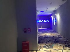 -星河寰宇IMAX影城(星河WORLD·COCO Park店)