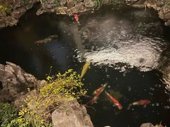 -鲤院·新中式美学·庭院餐厅(夫子庙店)
