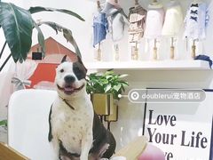 -Double Rui宠物酒店