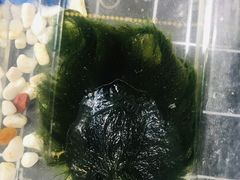 -新田360广场(上海华侨城店)