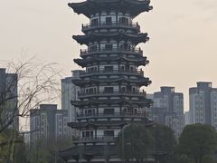 -洋湖国家湿地公园