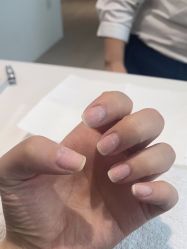 -BELLAREAL新美社