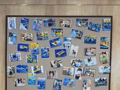 -酷游亲子游泳中心