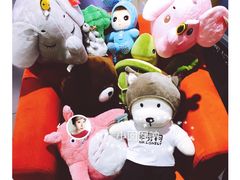 -PAWTOY爪e玩偶店(天兴罗斯福店)