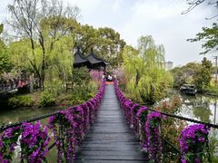 -南汇桃花村
