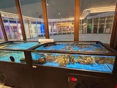 -南海渔村(珠江新城店)