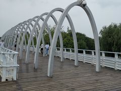 -大兴滨河森林公园