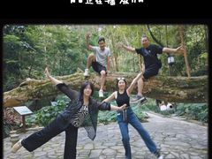 -广州市流溪河国家森林公园