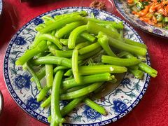 南瓜苗-生态苑农庄(十里画廊遇龙河店)