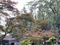 -岳麓山风景名胜区