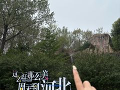 -秦皇岛野生动物园