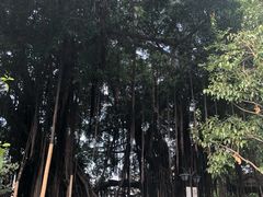 -乌山风景区