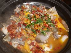 砂锅甲鱼-湘水谣(芙蓉店)