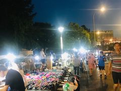 -南湖公园地摊集市