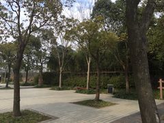 -新江湾城公园