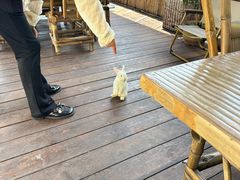-伴山茶苑·一盏冰茶·半日山居