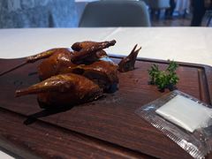 脆皮乳鸽-粤域茶餐厅