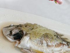 -花城苑广府菜(侨鑫店)