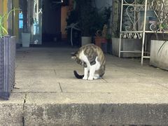 -衣裳街历史文化街区
