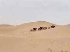-亿利库布其七星湖沙漠生态旅游区