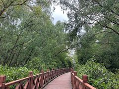 -大亚湾红树林城市湿地公园