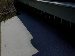 -东钱湖小普陀景区