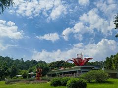 -番禺大夫山森林公园