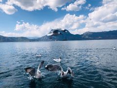 -丽江泸沽湖景区