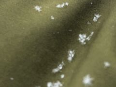 -圣·阿列克谢耶夫教堂