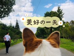 -上海海湾国家森林公园