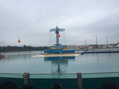 -秦皇岛乐岛海洋王国