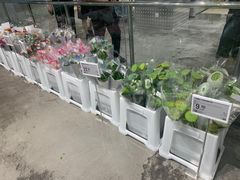 -盒马X会员店(王府井奥莱UP TOWN店)