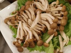 -马记伊源斋涮肉·清真菜(百子湾店)