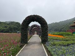 -广州市石门国家森林公园