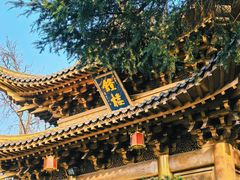 -上海东林寺(金山区)