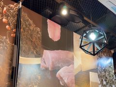 -金掌勺·锅包肉(双榆树店)