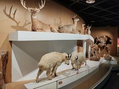 -陕西自然博物馆