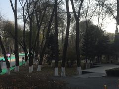 -西宁市人民公园(城西区)
