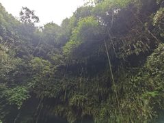 -海口火山口国家地质公园