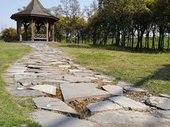 -上海都市菜园