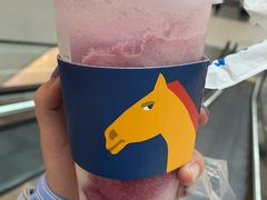 -春丽小马(济南恒隆广场店)