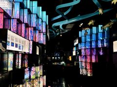 -同济大学四平路校区深海探索馆