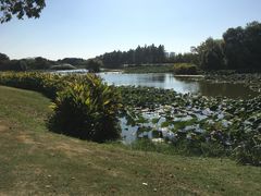 -艾溪湖湿地公园