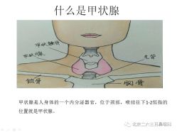 -邢台妇产医院