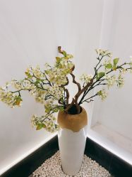 -蚂蚁造型俱乐部